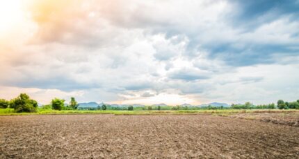 Mettray Maison neuve - 2253508-3427annonce1202505074SPiM.jpeg Constructions Idéale Demeure