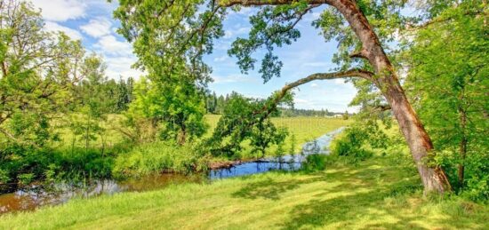 Terrain à bâtir à Monnaie, Centre-Val de Loire