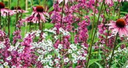 Azay-le-Rideau Terrain à bâtir - 2265202-10205annonce120250909PiCpt.jpeg Constructions Idéale Demeure