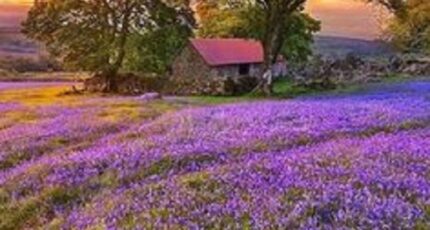 Druye Maison neuve - 2273574-10205annonce120250909WD14t.jpeg Constructions Idéale Demeure