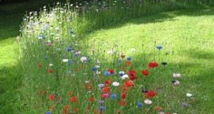 Sorigny Maison neuve - 2249936-10205annonce120250701pEc1a.jpeg Constructions Idéale Demeure