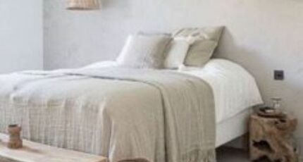 Rouziers-de-Touraine Maison neuve - 2250485-10042modele1020241217o2cis.jpeg Constructions Idéale Demeure