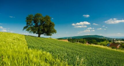 Beaumont-la-Ronce Maison neuve - 2249931-10205annonce120250701UoZZ6.jpeg Constructions Idéale Demeure