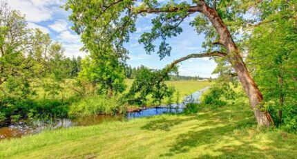 Sainte-Maure-de-Touraine Maison neuve - 2250511-10205annonce120250624s2xvu.jpeg Constructions Idéale Demeure