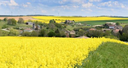 Montlouis-sur-Loire Terrain à bâtir - 2255857-9897annonce120250123OkbA3.jpeg Constructions Idéale Demeure