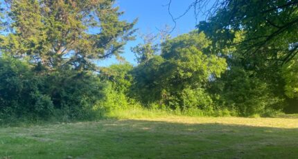 Thilouze Terrain à bâtir - 2256055-9897annonce120250618fdGNG.jpeg Constructions Idéale Demeure