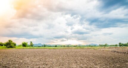 Joué-lès-Tours Maison neuve - 2281335-9897annonce12024123197Pqq.jpeg Constructions Idéale Demeure