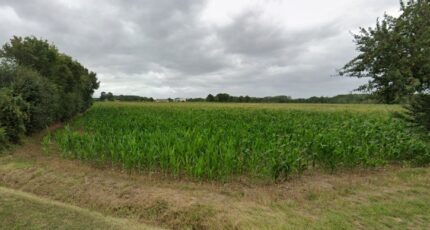 Villiers-au-Bouin Terrain à bâtir - 2255989-9897annonce120250331AdeLJ.jpeg Constructions Idéale Demeure