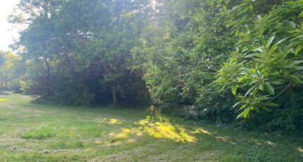 Pernay Maison neuve - 2281376-9897annonce1202506182L2KZ.jpeg Constructions Idéale Demeure