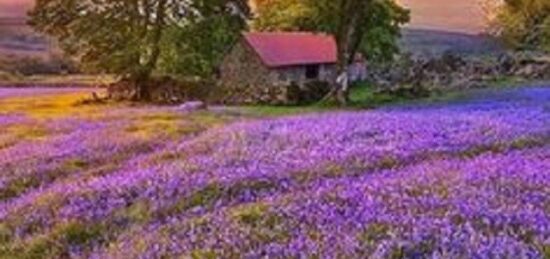 Terrain à bâtir à La Croix-en-Touraine, Centre-Val de Loire