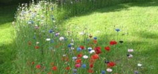 Terrain à bâtir à Manthelan, Centre-Val de Loire