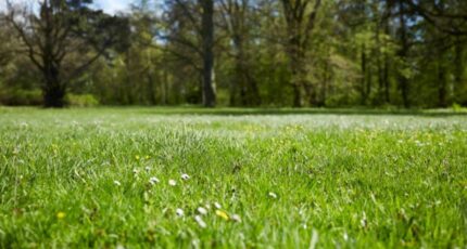 Richelieu Maison neuve - 2361789-3427annonce120251209Nf5nr.jpeg Constructions Idéale Demeure