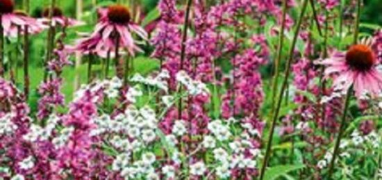 Terrain à bâtir à Azay-sur-Cher, Centre-Val de Loire