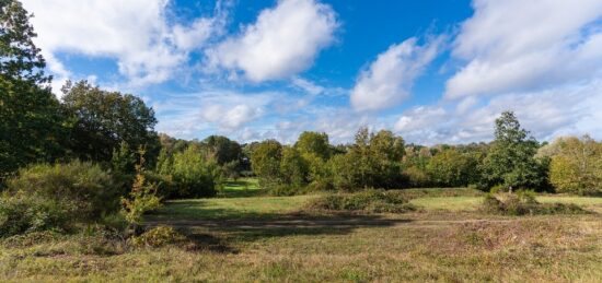 Terrain à bâtir à Saint-Avertin, Centre-Val de Loire