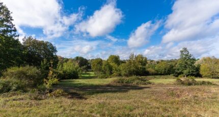 Saint-Avertin Maison neuve - 2369041-10205annonce1202504179VT9l.jpeg Constructions Idéale Demeure