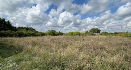 Pernay Maison neuve - 2393723-3427annonce120260115bCcty.jpeg Constructions Idéale Demeure