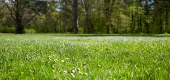 Terrain à bâtir à Vallères, Centre-Val de Loire