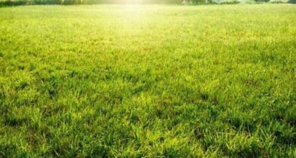 Neuillé-Pont-Pierre Maison neuve - 2432272-3427annonce120251009AkBWW.jpeg Constructions Idéale Demeure