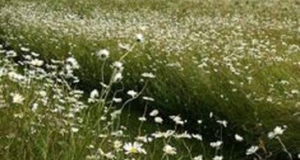 Véretz Maison neuve - 2370307-10205annonce120251216Mkzfc.jpeg Constructions Idéale Demeure