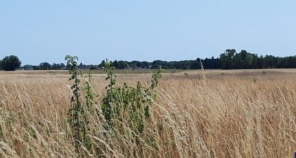 Reugny Maison neuve - 2412493-10999annonce120260128NPpST.jpeg Constructions Idéale Demeure