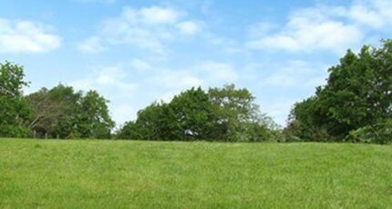 Parçay-Meslay Maison neuve - 2405520-10999annonce120260124833sK.jpeg Constructions Idéale Demeure