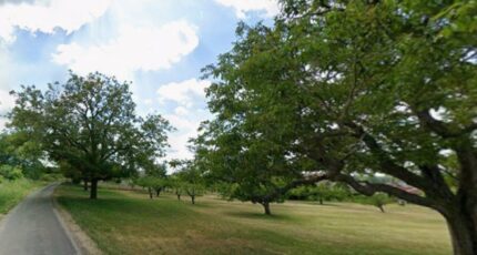 Lignières-de-Touraine Terrain à bâtir - 2406559-9897annonce120260126Qdh5N.jpeg Constructions Idéale Demeure