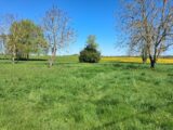 Maison à construire à Tauxigny (37310) 2568181-3427annonce12026062975Ocz.jpeg Constructions Idéale Demeure