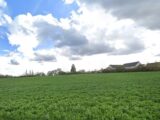 Terrain à bâtir à Azay-le-Rideau (37190) 2554543-9897annonce220260129BZKpr.jpeg Constructions Idéale Demeure