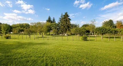 La Croix-en-Touraine Terrain à bâtir - 2556520-9897annonce120260619ERvxk.jpeg Constructions Idéale Demeure