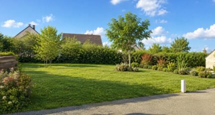Azay-le-Rideau Terrain à bâtir - 2554597-9897annonce120260618bOqF1.jpeg Constructions Idéale Demeure